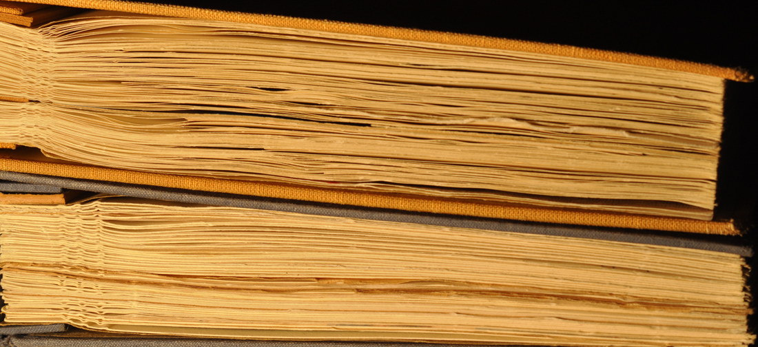 Gesellschaftswissenschaften